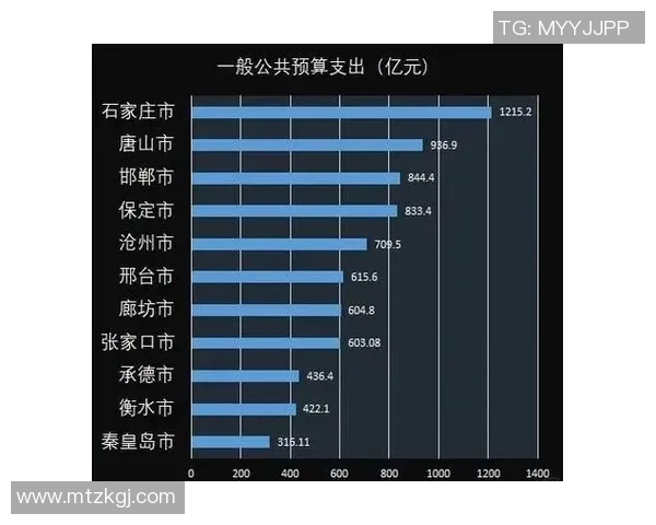 河北经济节目表全景解析助力地方经济发展与产业升级