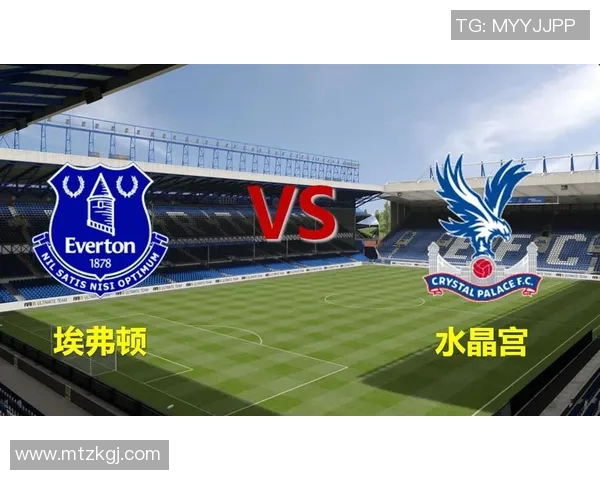 维拉与埃弗顿实力对比分析谁能在英超赛场更胜一筹