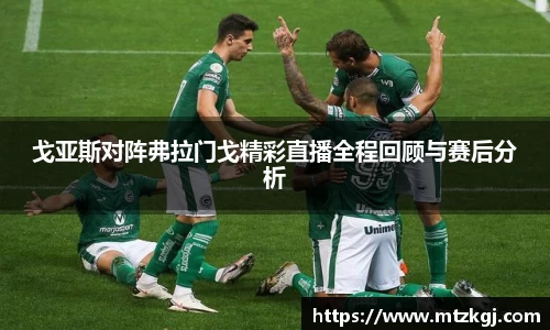 戈亚斯对阵弗拉门戈精彩直播全程回顾与赛后分析